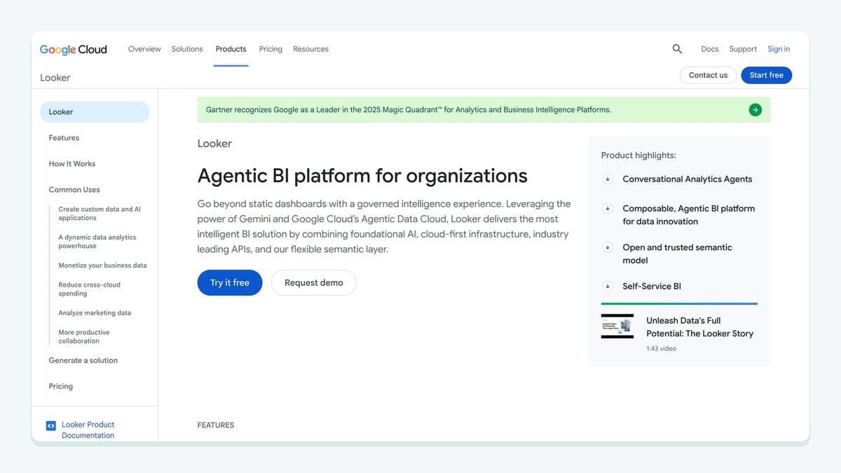 Screenshot of the Google Cloud Looker page — business reporting over Braze data