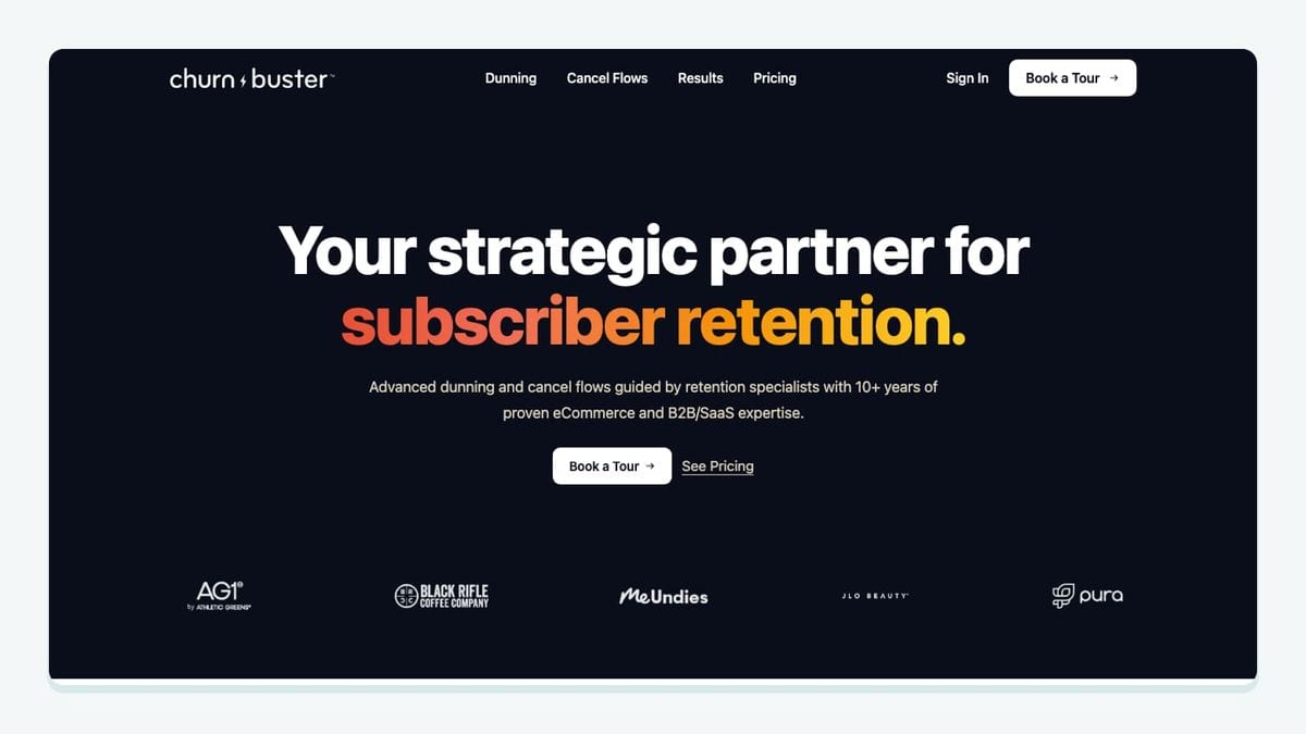 Screenshot of the churnbuster homepage