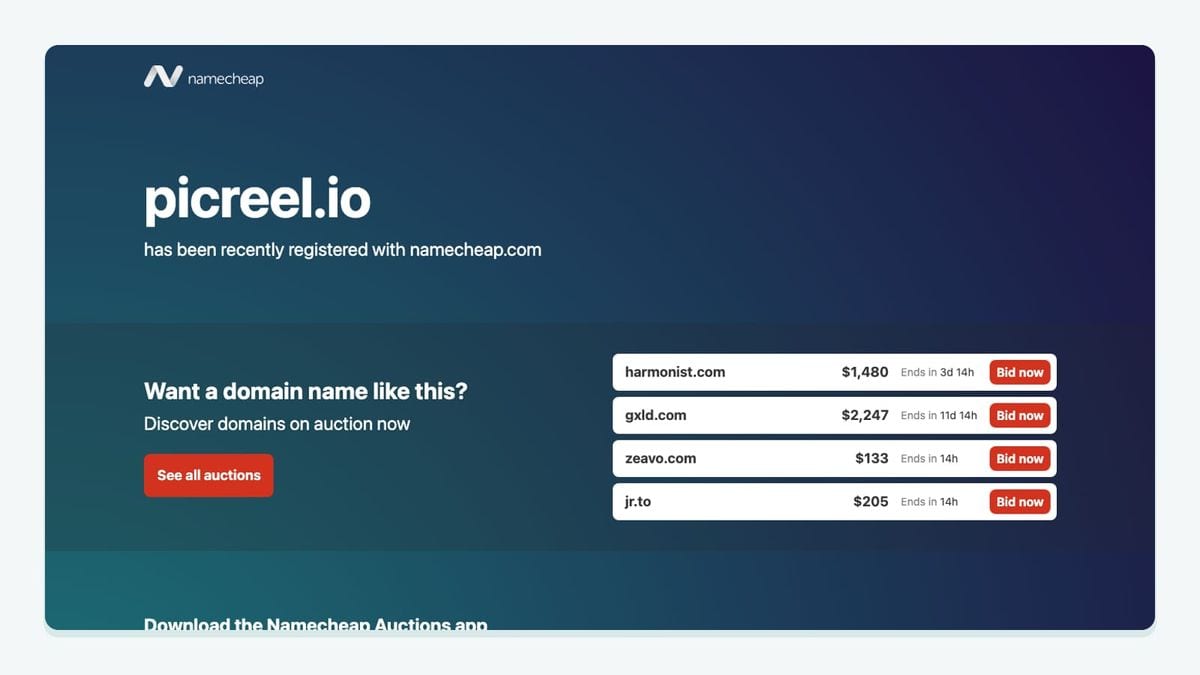 Screenshot of the picreel homepage