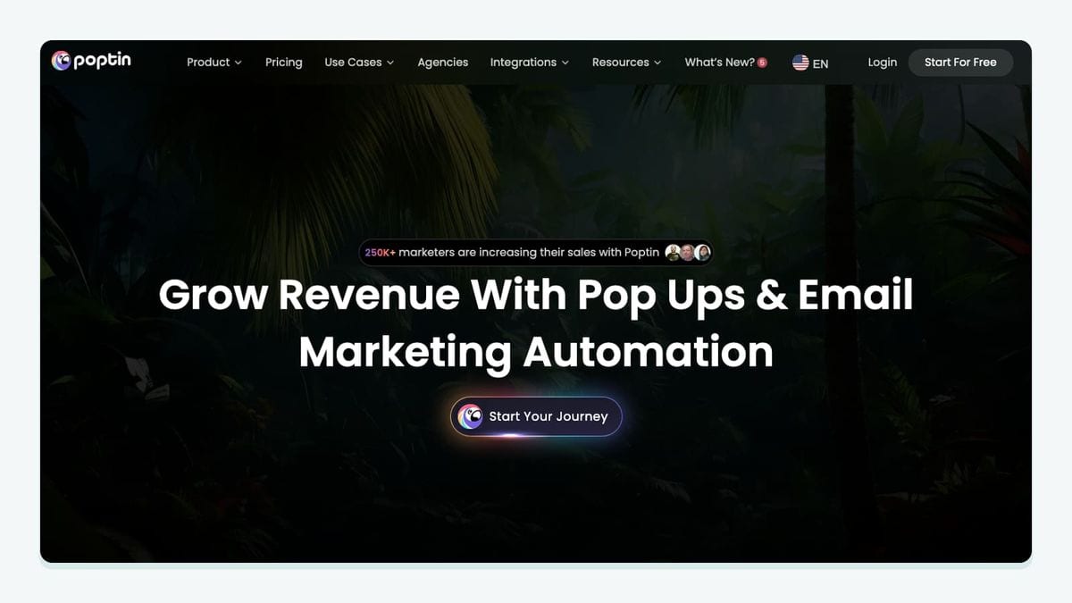 Screenshot of the poptin homepage