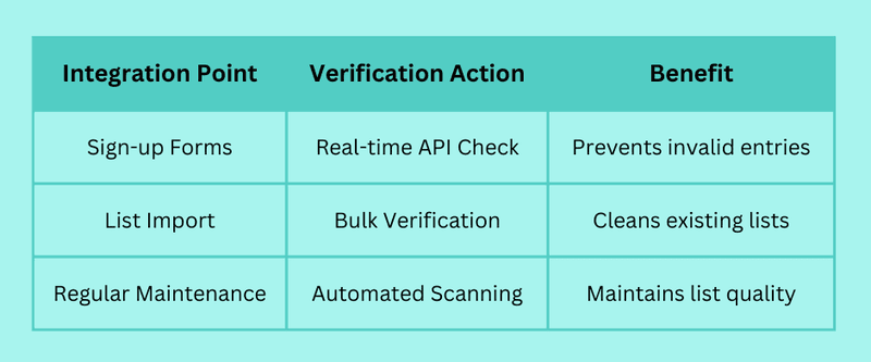8 Proven Email Verification Best Practices That Boost Security and Deliverability