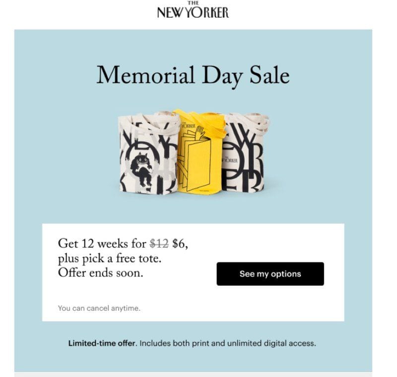 Small Business Email Marketing