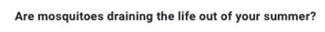better subject line