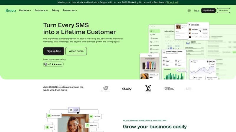 Transactional Email Automation Best Practices