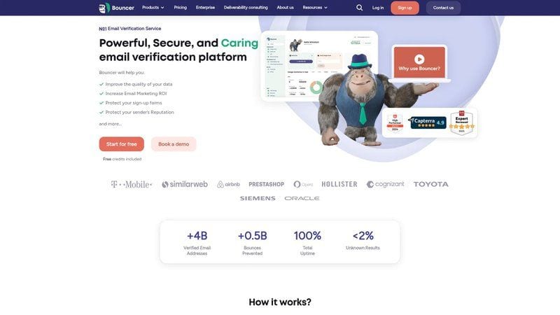 Top Email List Cleaning Tools Compared