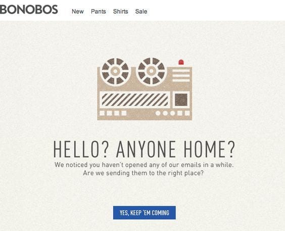 30 Email Marketing Campaign Examples Generating Billions in Revenue